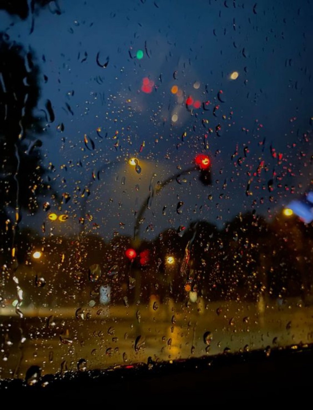 I will always love the&nbsp;rain.